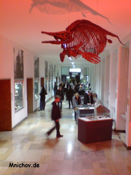 Soubor:Paleontologicke-muzeum-Mnichov-03.jpg